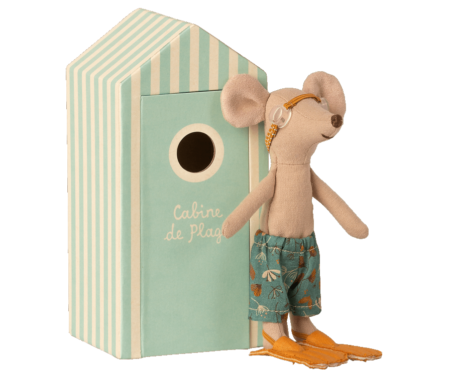 big brother beach mouse in cabin