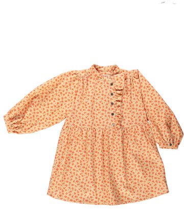 land dress blue bird