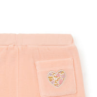 baby velvet logo pant