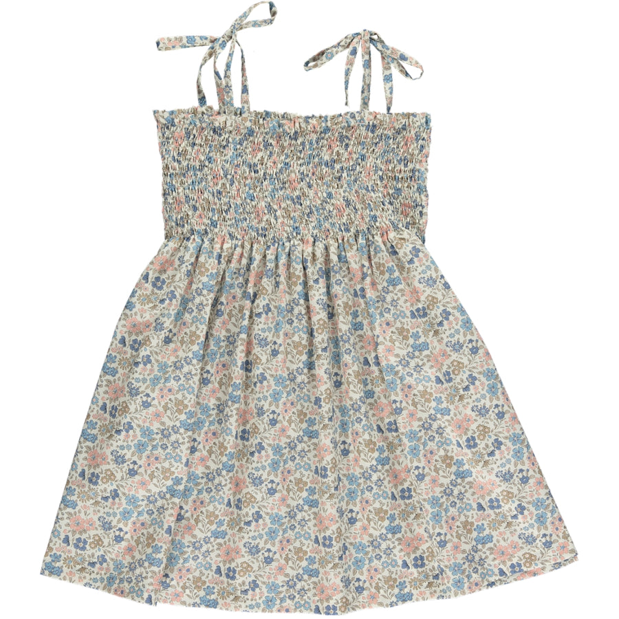 virginia dress vintage blue