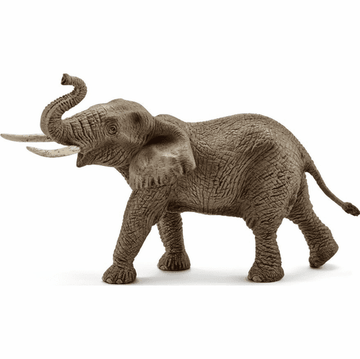 male african elephant