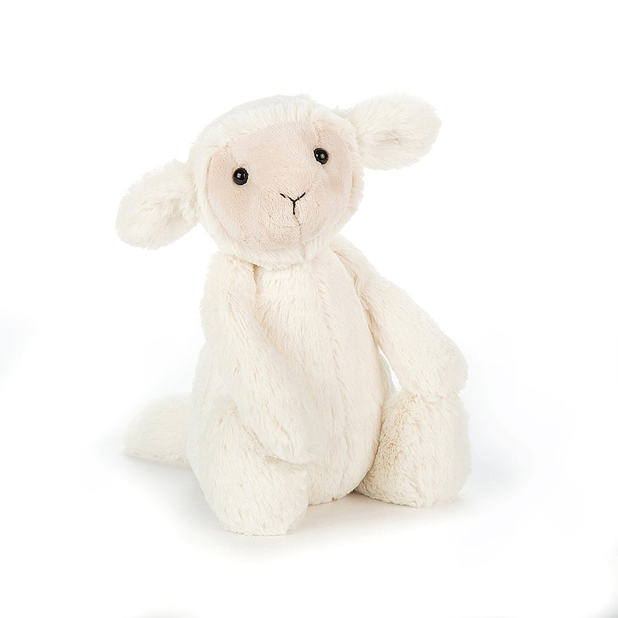 bashful lamb medium