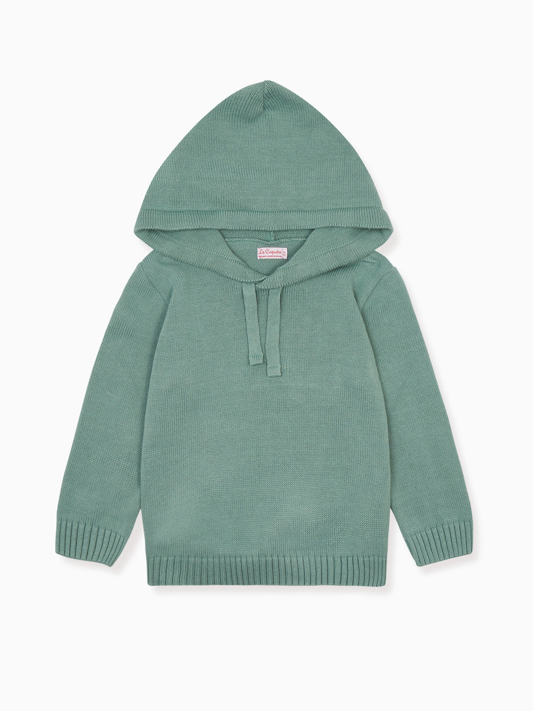 boys leo hoodie jumper sage