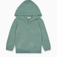boys leo hoodie jumper sage