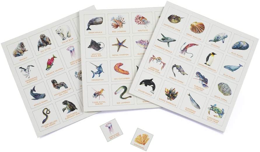 ocean bingo